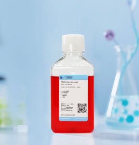 从入门到精通：基础培养基、完全培养基与选择性培...